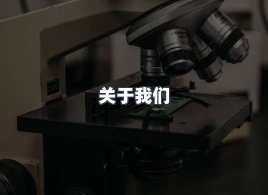 关于我们